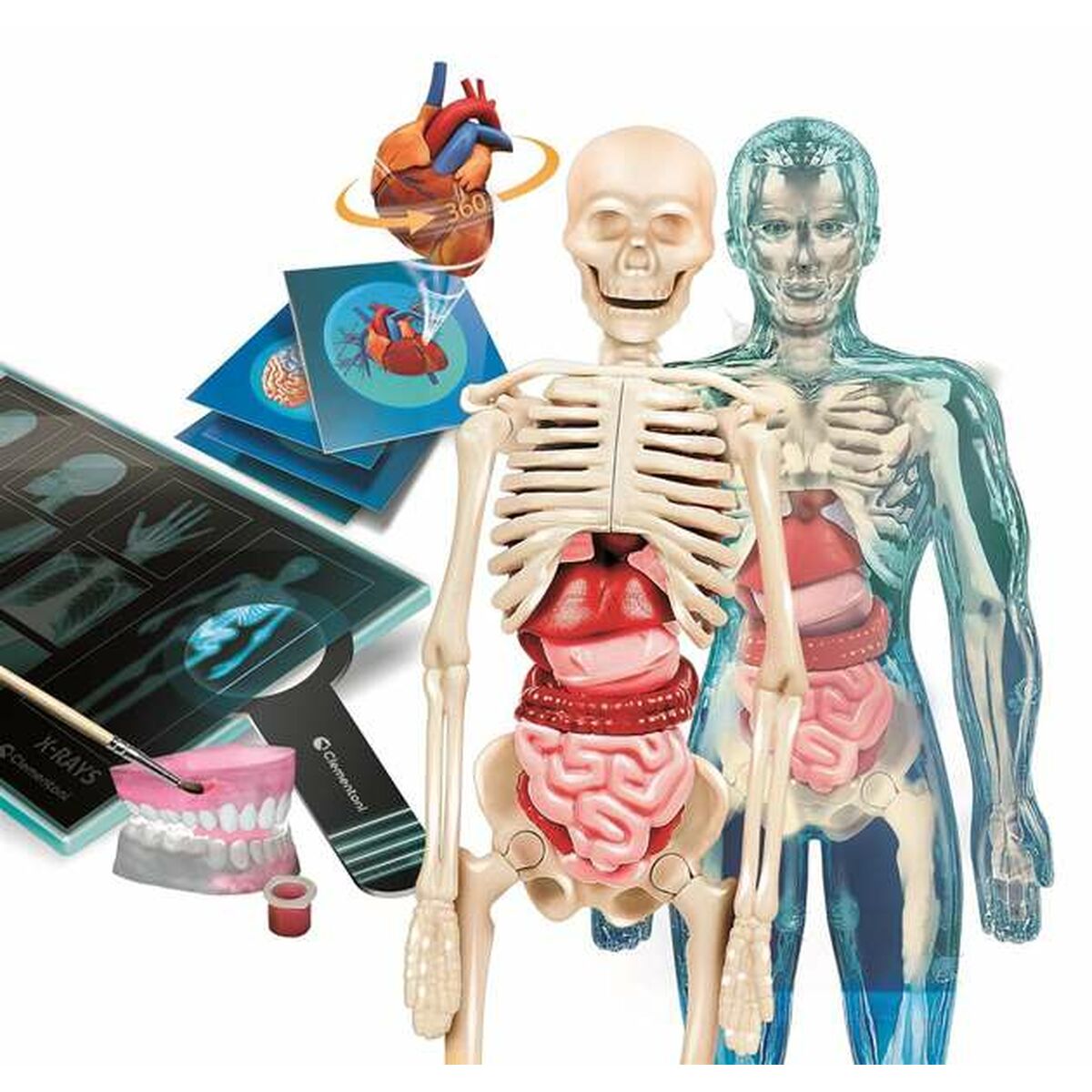 V6H59A1C15E5D79B2D356FF4FD0582244EFR5691434P2