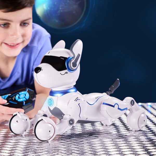 Ziggy the Robot Dog