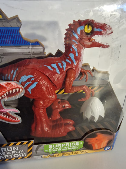Sortiment hraček Robo Alive Raptor Dinosaur od ZURU