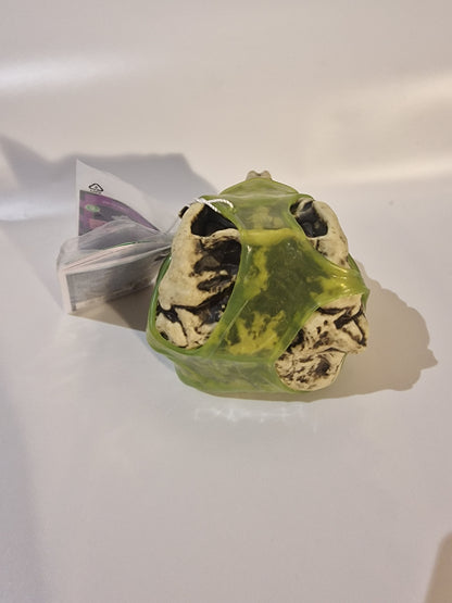 GrossMos! Surprise Dino Series 1 - Mystery Dinosaur Skull with Slime & Foam (New)