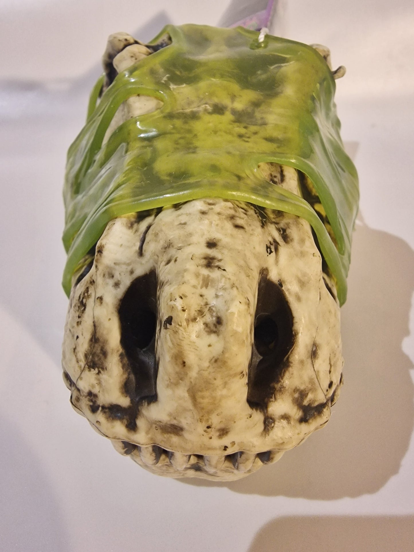 GrossMos! Surprise Dino Series 1 - Mystery Dinosaur Skull with Slime & Foam (New)