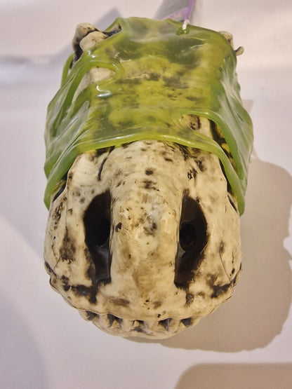 GrossMos! Surprise Dino Series 1 - Mystery Dinosaur Skull with Slime & Foam (New)