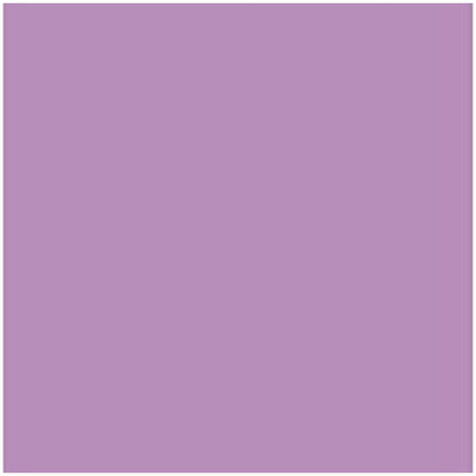 V8HFD6BEF9358B76468CEC6A485B488E950R4242579P1