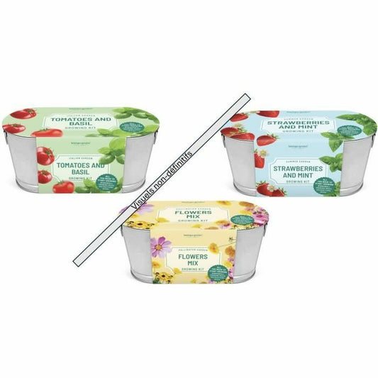 V4H25FED05E780F997EE5D4A71610B4DB8BR6116582P1