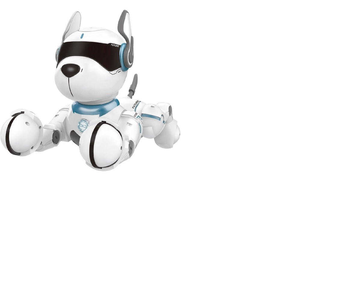 Ziggy the Robot Dog