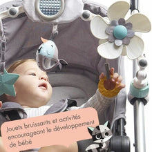 Load image into Gallery viewer, Activity Arch for Babies Tiny Love