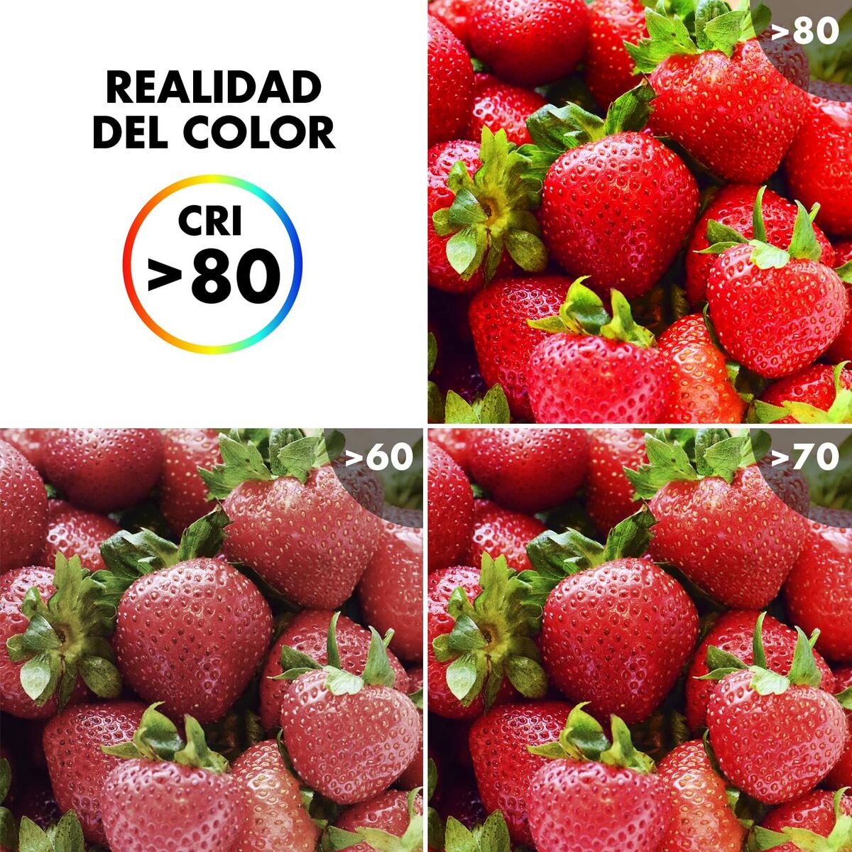 V5H86BE603B5E0BCDA0BE6602A79EB19FC2R4783928P4