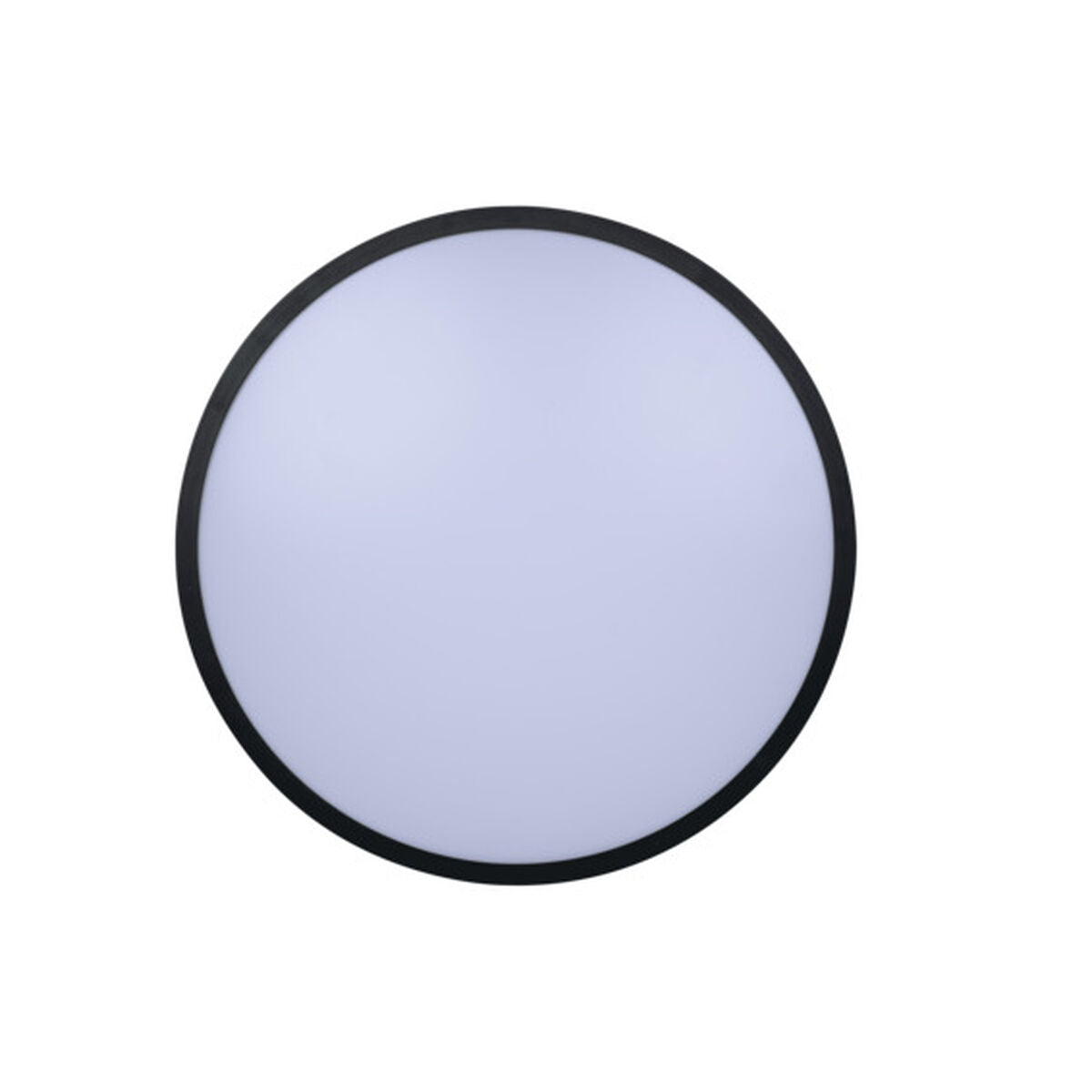 V5H2AEDB931533C264E2333E9F7F6A1780AR5916643P1