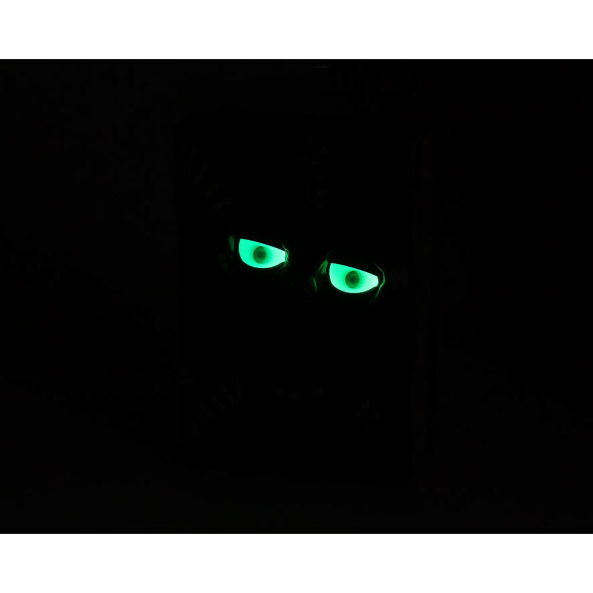 V4H29C6E02A3190543BF00EA48F6CA3F63CR7058322P3