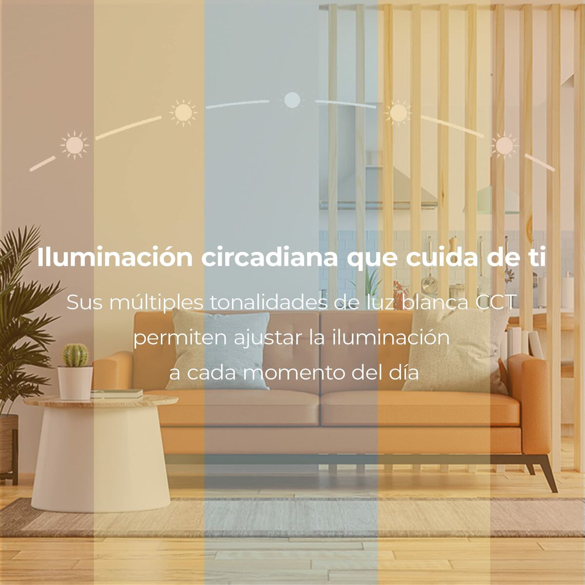 V8H2B461D24C90690D4975FE30BC8E99DF8R3375309P9