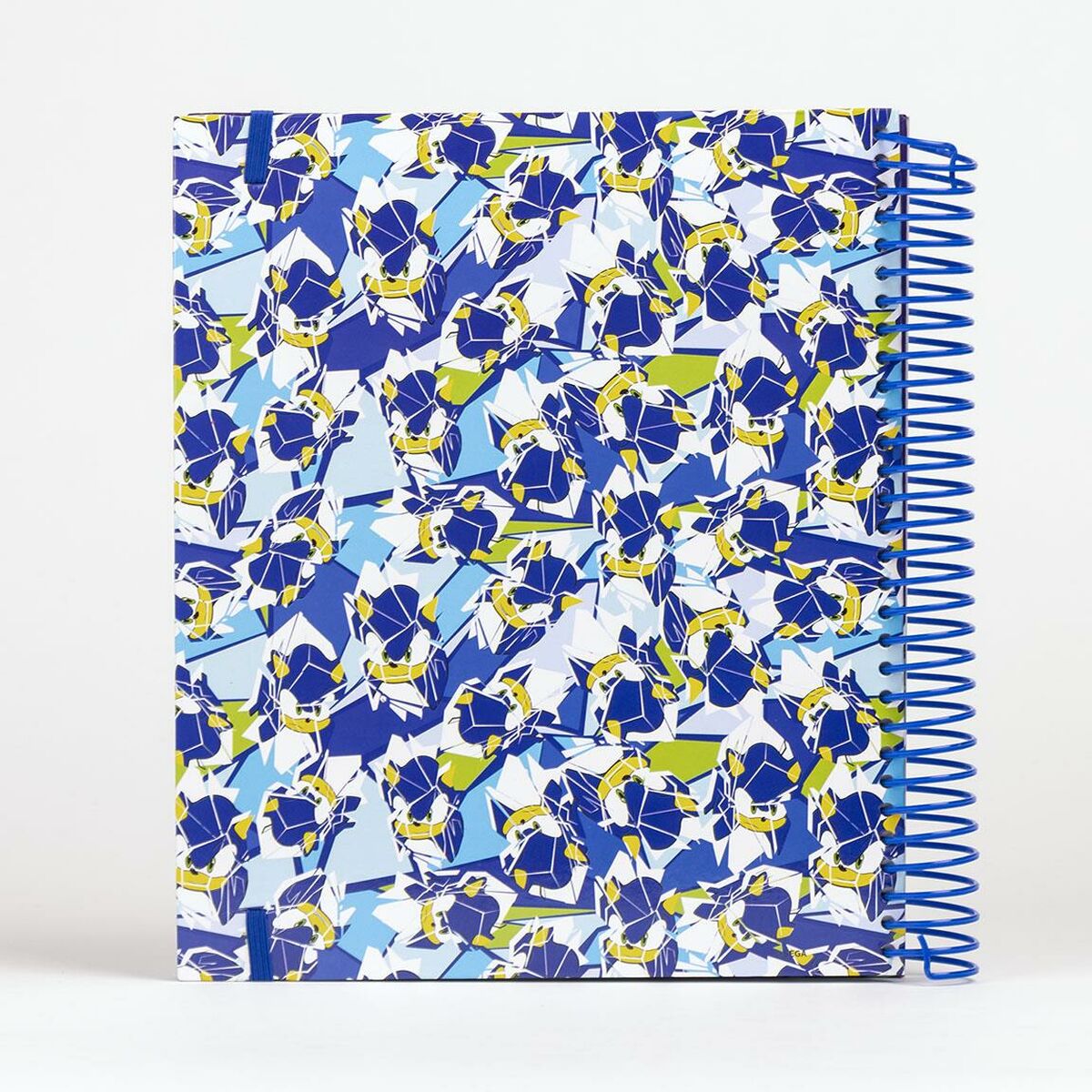 V5H69D21D4E2A2F0B2187A81CB9E01911A5R4703733P1