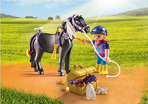 Playmobil Country 6970 Collectable Groomer with Star Pony