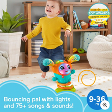 Load image into Gallery viewer, Fisher-Price DJ Bouncin Beats Musical Toy