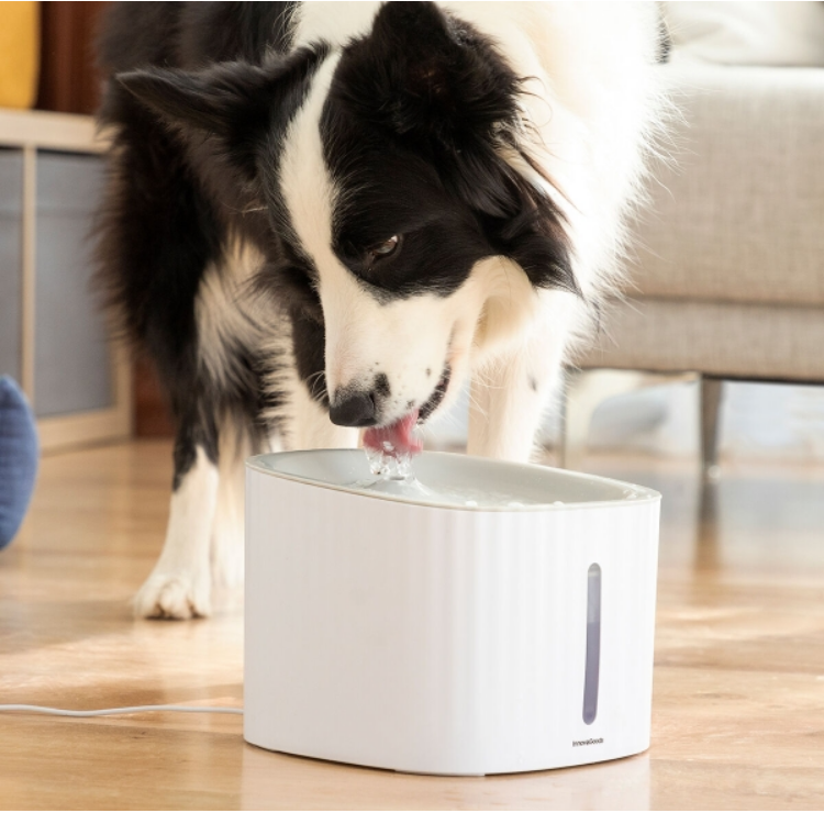 Pet Water Fountain Drinkatt InnovaGoods