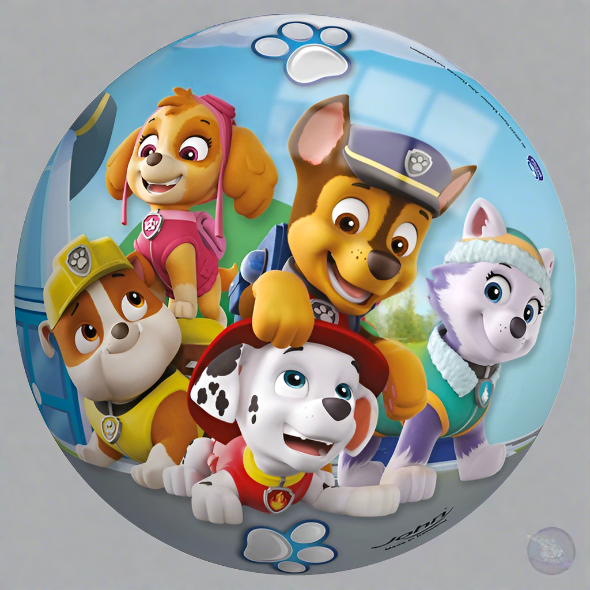 Kids paw patrol skye rubble marshall everest chase Play footBall 23cm