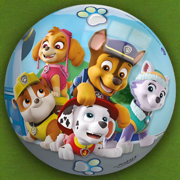 Kids paw patrol skye rubble marshall everest chase Play footBall 23cm