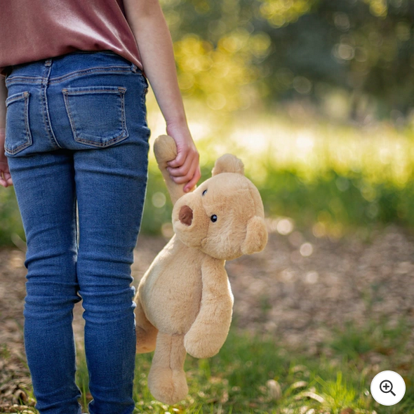 World's Softest Plush 40cm Brady the Bear