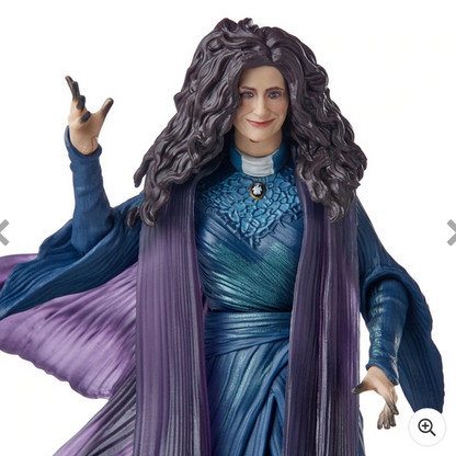 Marvel Legends Series Wandavision Agatha Harkness Action Figure