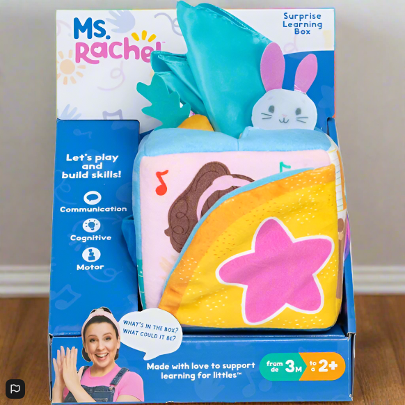 Ms. Rachel Surprise Learning Box Set