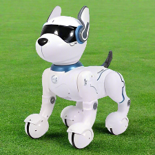 Ziggy the Robot Dog