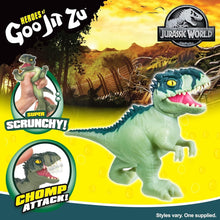 Načíst obrázek do prohlížeče Galerie, Jurassic World Heroes of Goo Jit Zu Giganotosaurus Chomp Attack