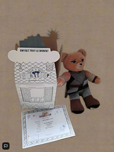 Load image into Gallery viewer, Build A Bear Starwars Rey Bear Boxed With Certificate