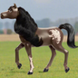 Spirit Untamed Herd Poseable Head 