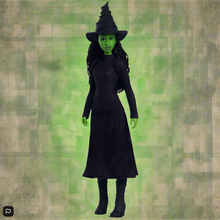 Load image into Gallery viewer, Wicked 30cm Singing Elphaba Fashion Doll