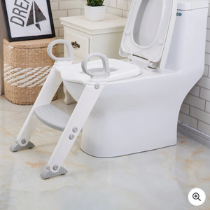 Babylo Toilet Trainer with Steps
