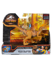 Načíst obrázek do prohlížeče Galerie, Jurassic World Savage Strike Velociraptor Dinosaur