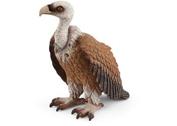 Schleich Vulture Animal Figure